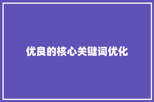 优良的核心关键词优化