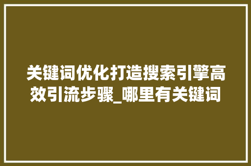 关键词优化打造搜索引擎高效引流步骤_哪里有关键词优化功能