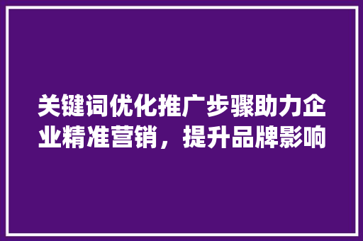 关键词优化推广步骤助力企业精准营销，提升品牌影响力_关键词优化推广步骤方法
