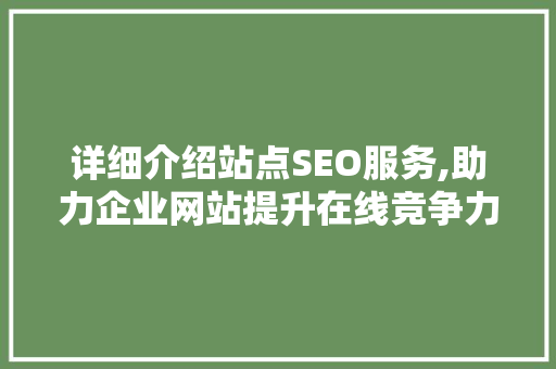 详细介绍站点SEO服务,助力企业网站提升在线竞争力  第1张