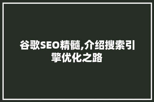 谷歌SEO精髓,介绍搜索引擎优化之路