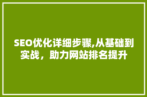 SEO优化详细步骤,从基础到实战，助力网站排名提升  第1张