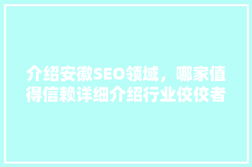 介绍安徽SEO领域，哪家值得信赖详细介绍行业佼佼者