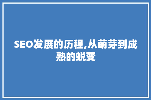 SEO发展的历程,从萌芽到成熟的蜕变