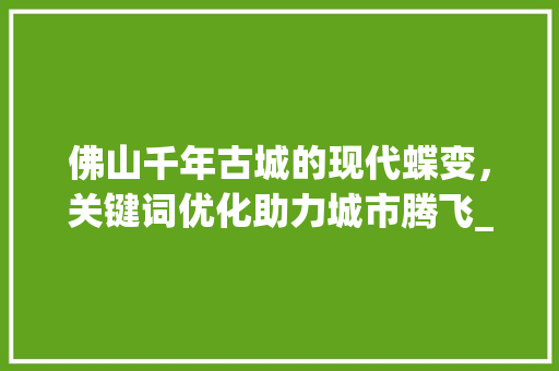 佛山千年古城的现代蝶变，关键词优化助力城市腾飞_佛山关键词优化怎么样
