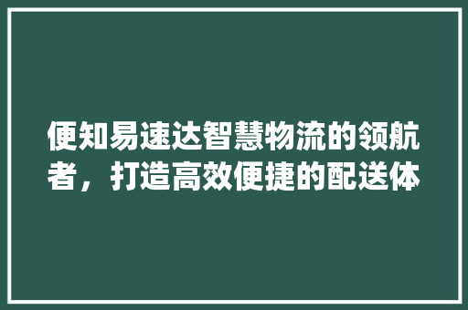 便知易速达智慧物流的领航者，打造高效便捷的配送体系_关键词优化好便知易速达