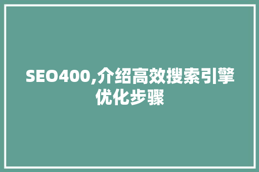 SEO400,介绍高效搜索引擎优化步骤