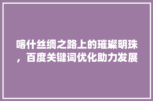 喀什丝绸之路上的璀璨明珠，百度关键词优化助力发展新篇章_喀什百度关键词优化