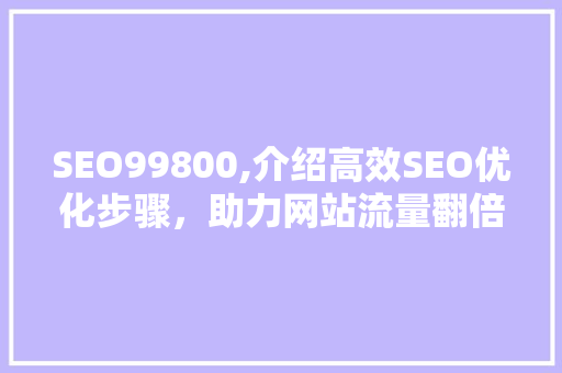 SEO99800,介绍高效SEO优化步骤，助力网站流量翻倍