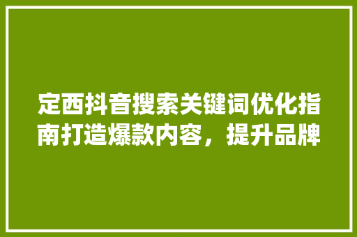 定西抖音搜索关键词优化指南打造爆款内容，提升品牌影响力_定西抖音搜索关键词优化