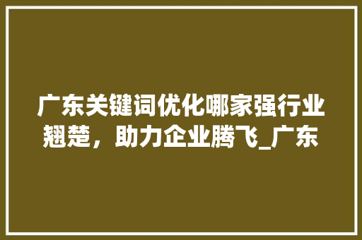 广东关键词优化哪家强行业翘楚，助力企业腾飞_广东关键词优化哪家强