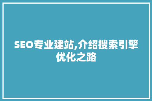 SEO专业建站,介绍搜索引擎优化之路