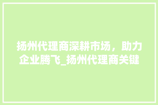 扬州代理商深耕市场，助力企业腾飞_扬州代理商关键词优化