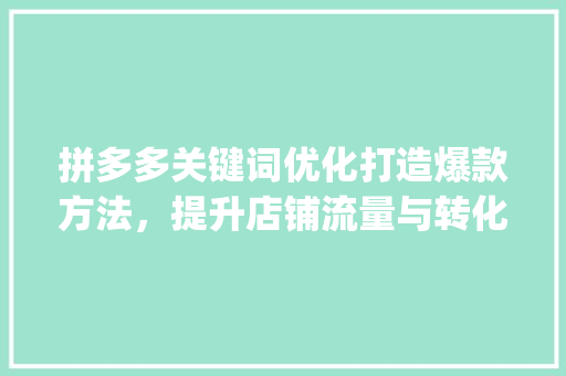 拼多多关键词优化打造爆款方法，提升店铺流量与转化率_拼多多关键词优化方法