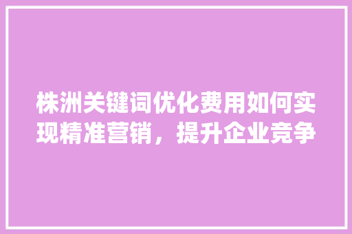 株洲关键词优化费用如何实现精准营销，提升企业竞争力_株洲关键词优化费用多少