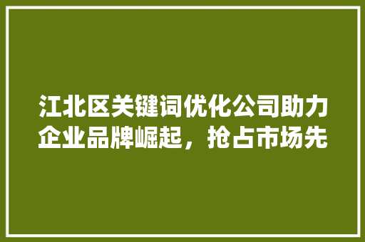 江北区关键词优化公司助力企业品牌崛起，抢占市场先机_江北区关键词优化公司