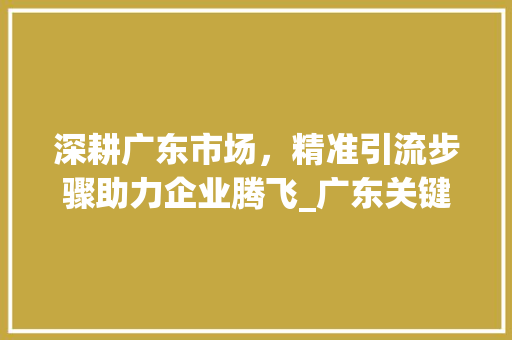 深耕广东市场，精准引流步骤助力企业腾飞_广东关键词优化精准引流