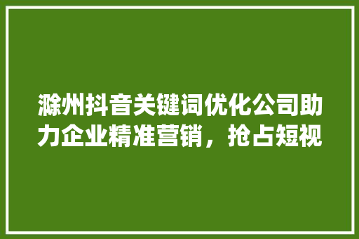 滁州抖音关键词优化公司助力企业精准营销，抢占短视频市场高地_滁州抖音关键词优化公司
