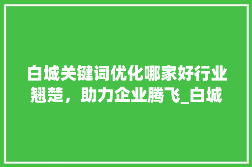 白城关键词优化哪家好行业翘楚，助力企业腾飞_白城关键词优化谁家好