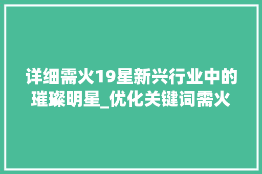 详细需火19星新兴行业中的璀璨明星_优化关键词需火19星