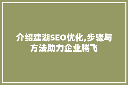 介绍建湖SEO优化,步骤与方法助力企业腾飞