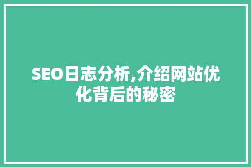 SEO日志分析,介绍网站优化背后的秘密