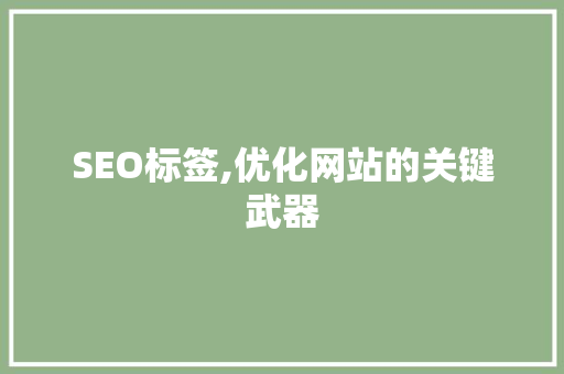 SEO标签,优化网站的关键武器