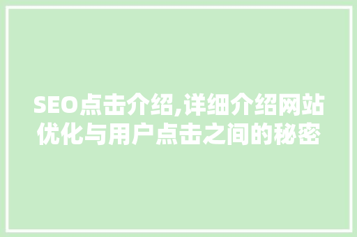 SEO点击介绍,详细介绍网站优化与用户点击之间的秘密联系