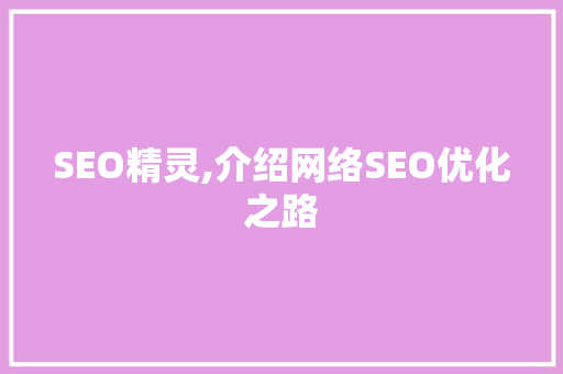 SEO精灵,介绍网络SEO优化之路