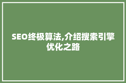 SEO终极算法,介绍搜索引擎优化之路