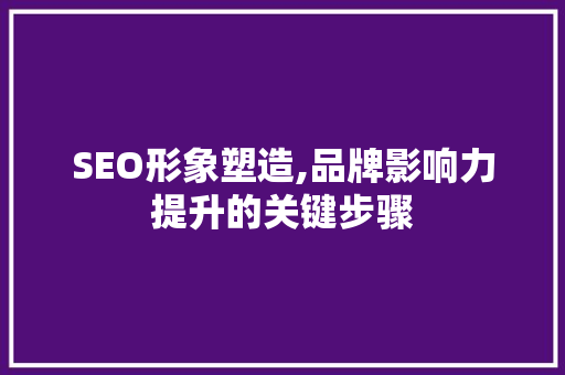 SEO形象塑造,品牌影响力提升的关键步骤