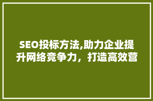 SEO投标方法,助力企业提升网络竞争力，打造高效营销步骤