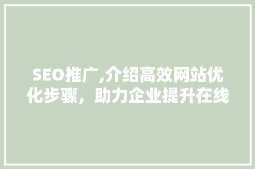 SEO推广,介绍高效网站优化步骤，助力企业提升在线竞争力