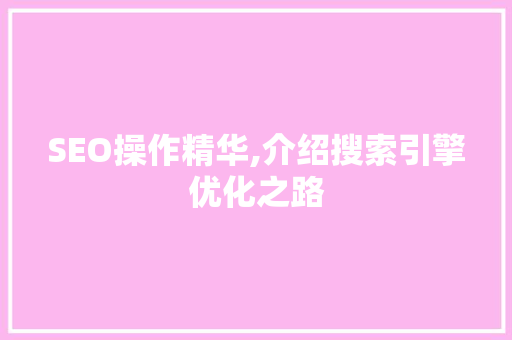 SEO操作精华,介绍搜索引擎优化之路