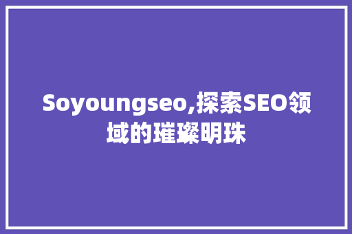 Soyoungseo,探索SEO领域的璀璨明珠