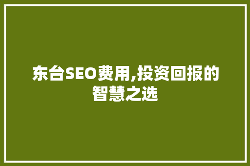东台SEO费用,投资回报的智慧之选