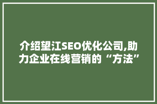 介绍望江SEO优化公司,助力企业在线营销的“方法”之路