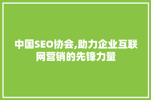 中国SEO协会,助力企业互联网营销的先锋力量