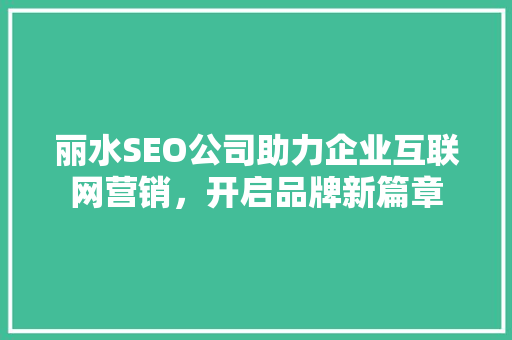 丽水SEO公司助力企业互联网营销，开启品牌新篇章