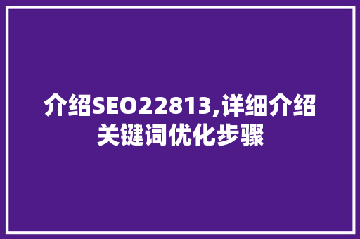 介绍SEO22813,详细介绍关键词优化步骤