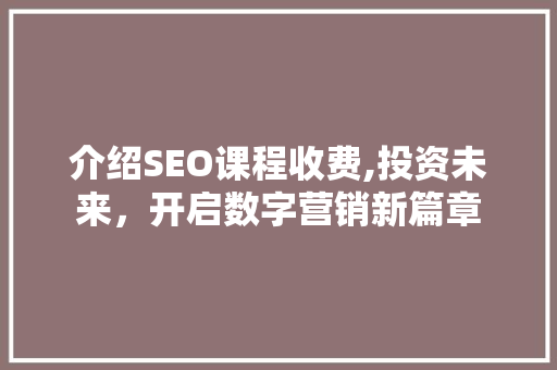 介绍SEO课程收费,投资未来，开启数字营销新篇章