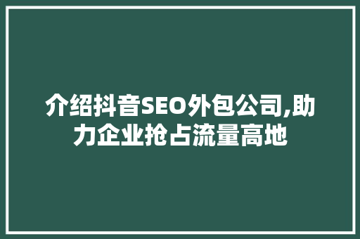 介绍抖音SEO外包公司,助力企业抢占流量高地