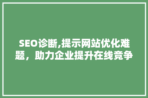 SEO诊断,提示网站优化难题，助力企业提升在线竞争力