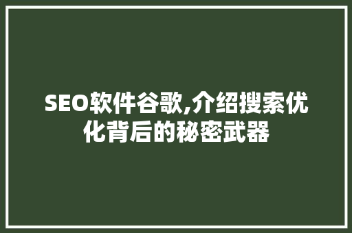 SEO软件谷歌,介绍搜索优化背后的秘密武器