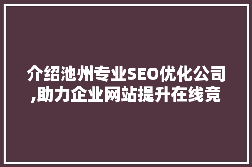 介绍池州专业SEO优化公司,助力企业网站提升在线竞争力