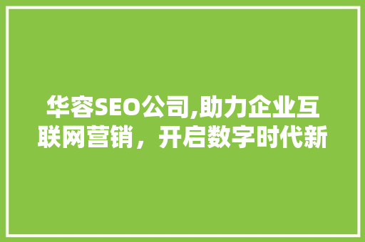 华容SEO公司,助力企业互联网营销，开启数字时代新篇章
