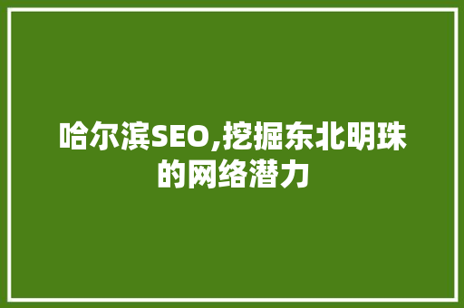 哈尔滨SEO,挖掘东北明珠的网络潜力