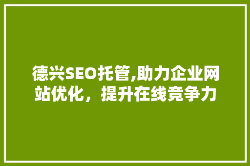 德兴SEO托管,助力企业网站优化，提升在线竞争力