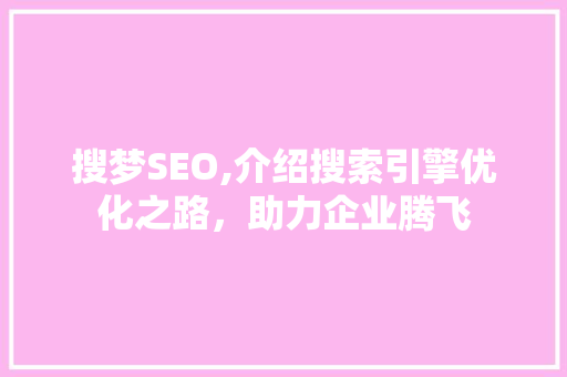 搜梦SEO,介绍搜索引擎优化之路，助力企业腾飞