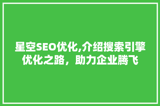 星空SEO优化,介绍搜索引擎优化之路，助力企业腾飞